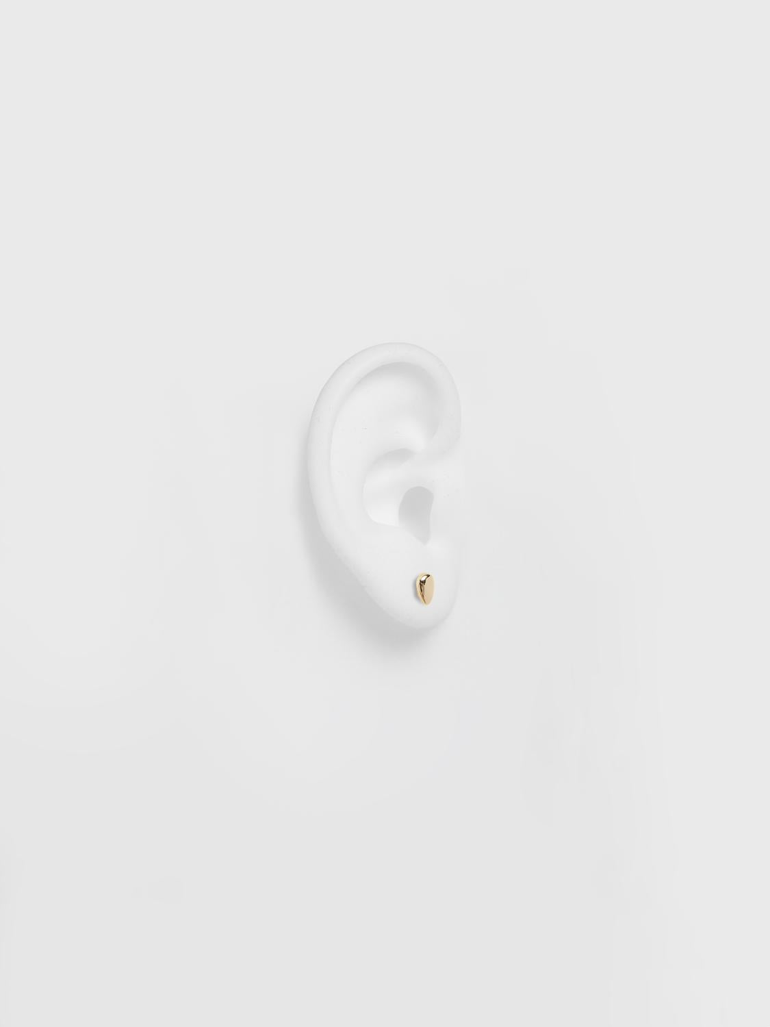 pack_shot-back