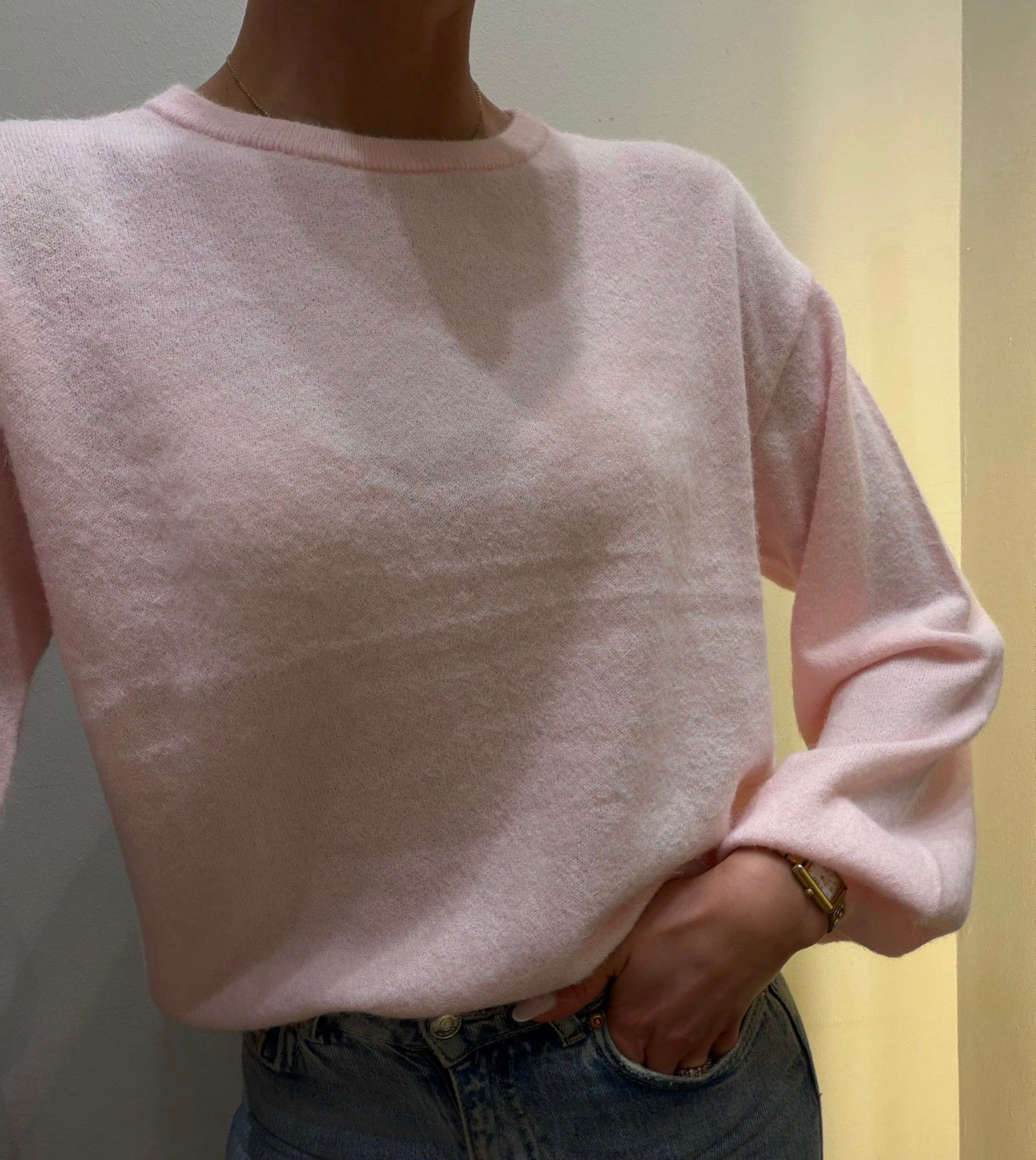 PCNAOMI Pullover - Roseate Spoonbill
